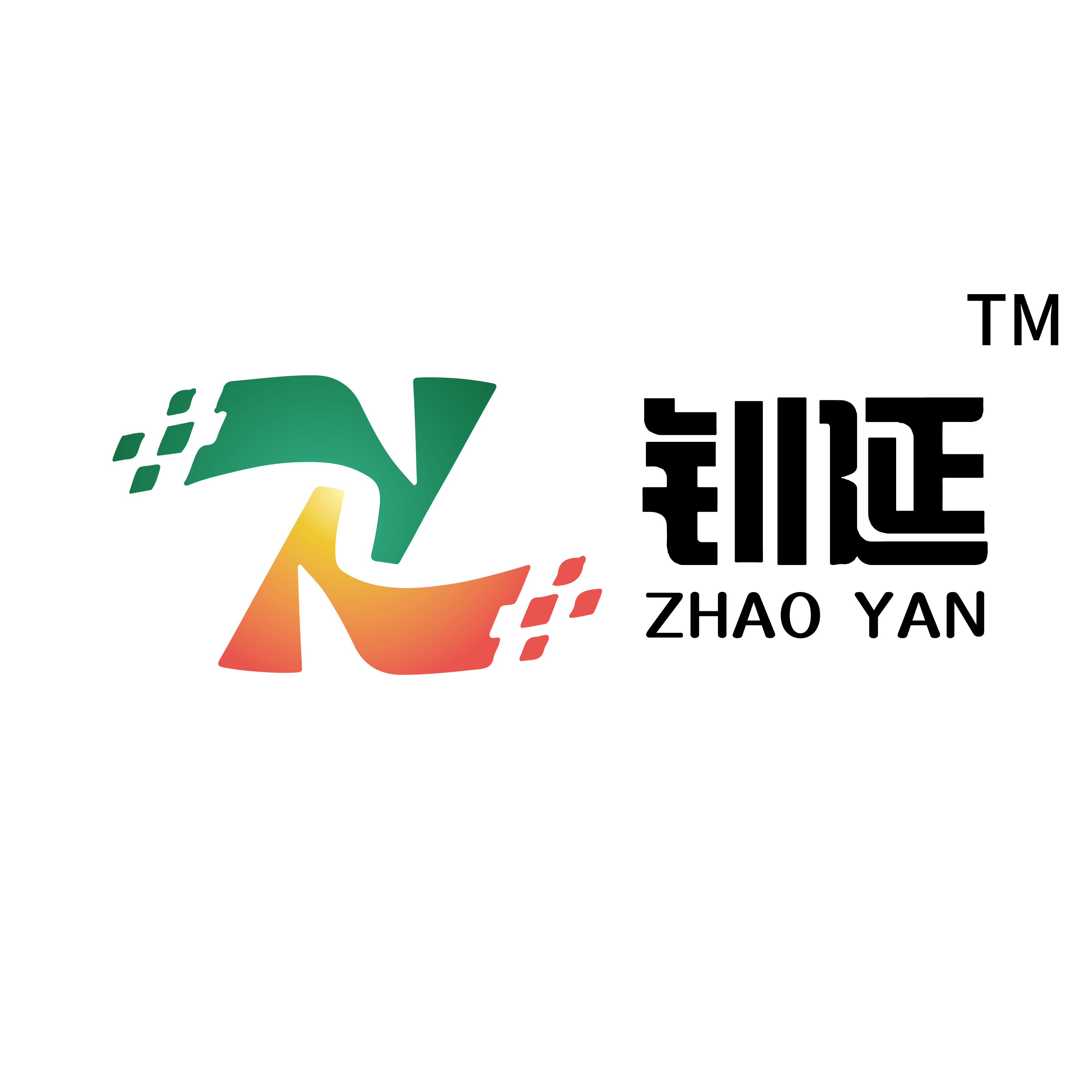 Shandong Zhaoyan Toys Co., Ltd logo
