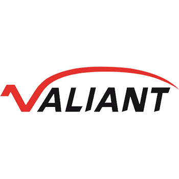 SHANDONG YUNCHENG VALIANT INTERNATIONAL TRADING CO.,LTD logo