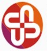 Suining Festalight Co.,ltd logo