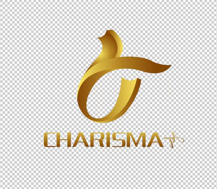 CHANGRUI INTERLINING MANUFACTURE (SHENZHEN) Co.,ltd logo