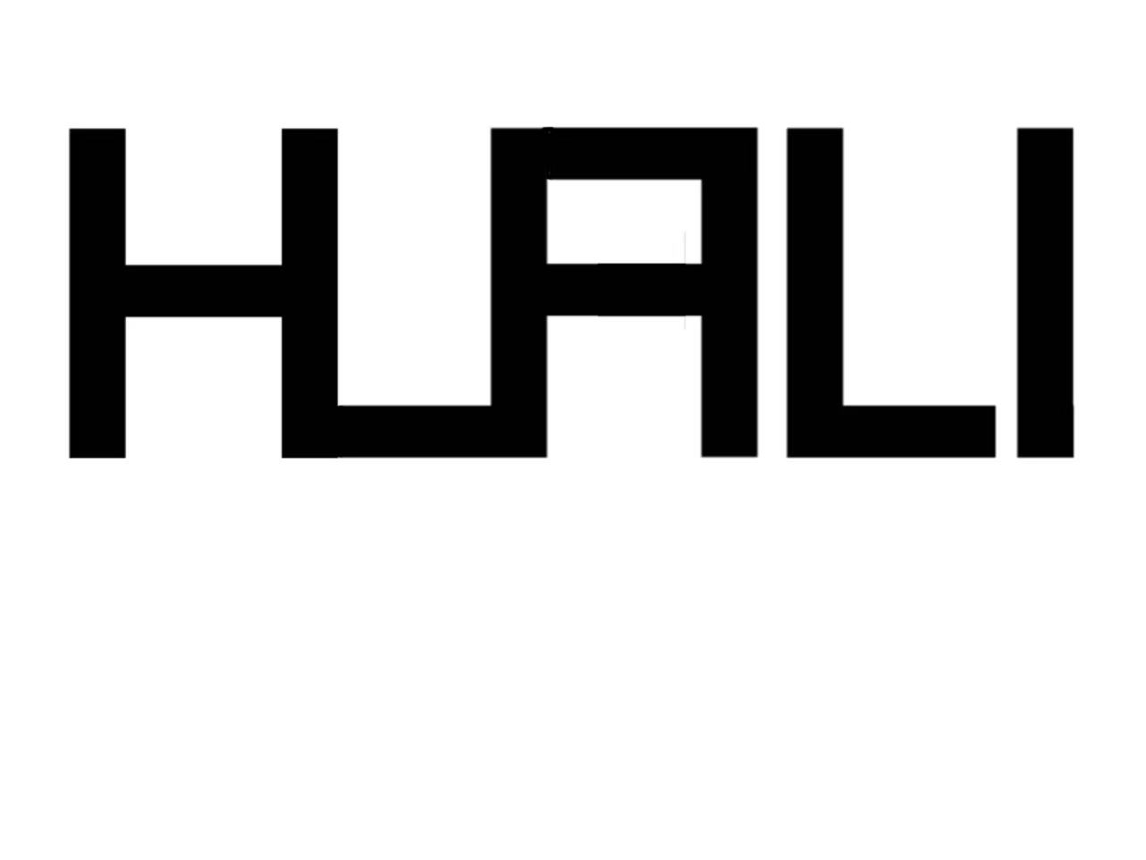 JINHUA HUALI TEXTILE TECHNOLOGY CO.,LTD logo