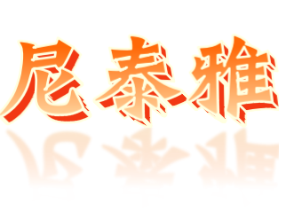 HANGZHOU NITAYAL IMPORT AND EXPORT CO., LTD logo