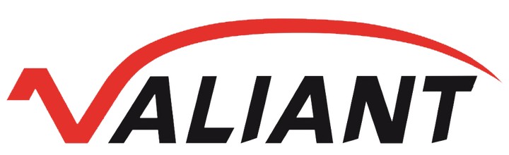 shandong valiant packaging co.,ltd logo