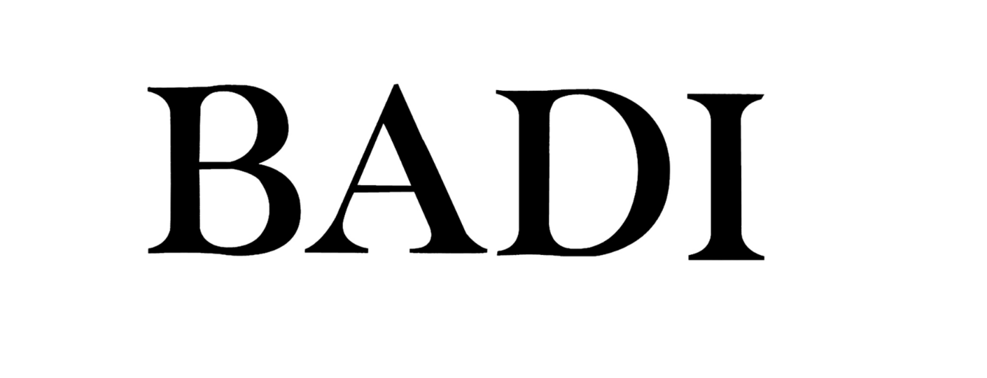 BADI INDUSTRY.CO.,LTD.GUANGDONG logo