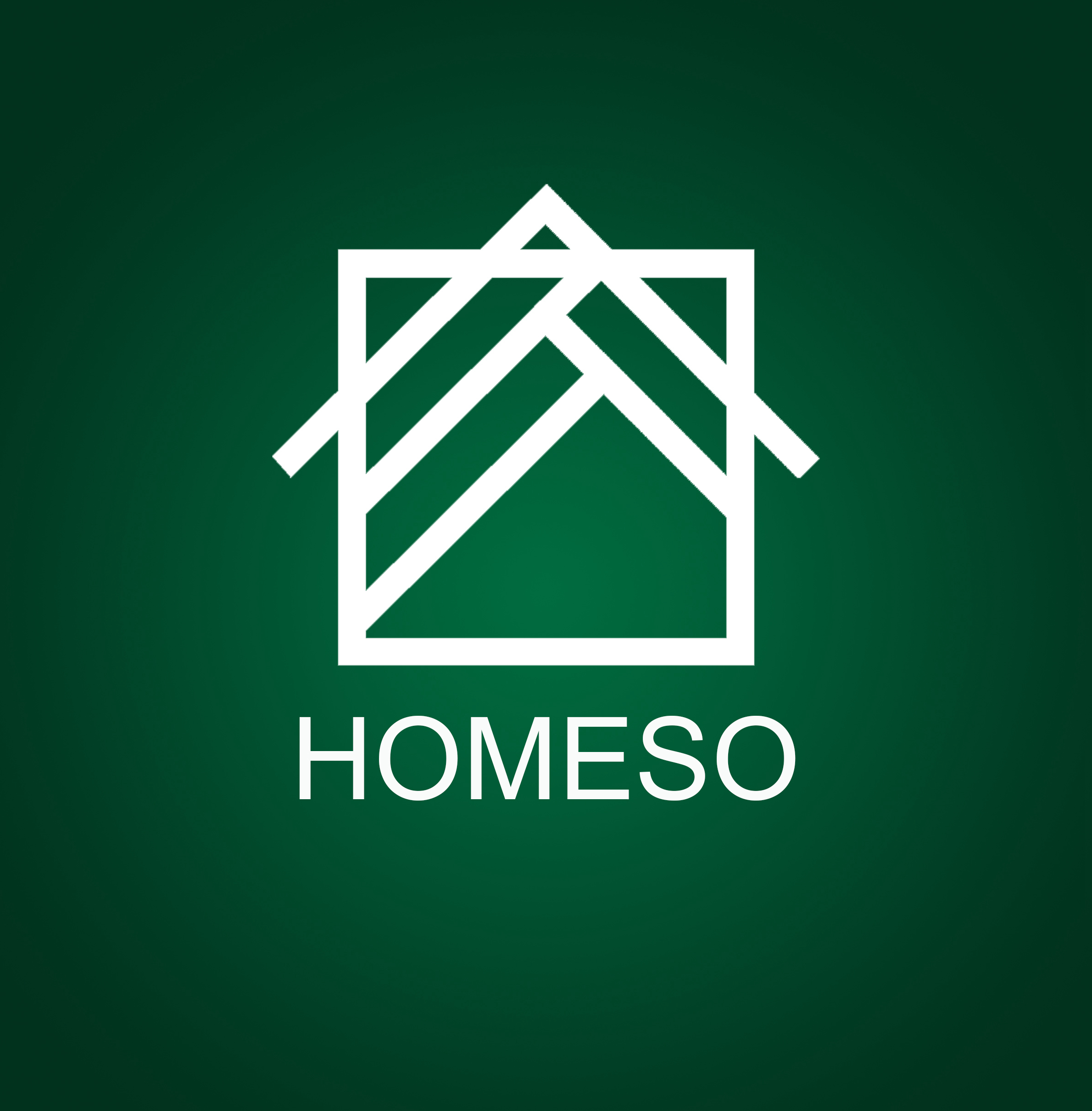 QINGDAO HOMESO IMPORT AND EXPORT CO.,LTD. logo