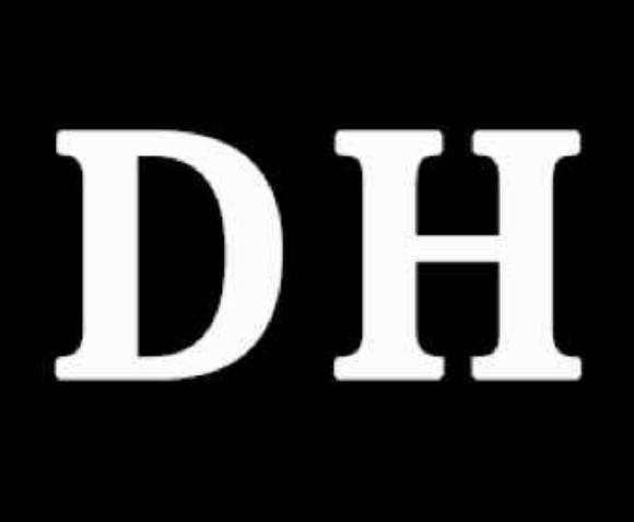 SHUYANG DONGHUAN TRADING CO.,LTD. logo