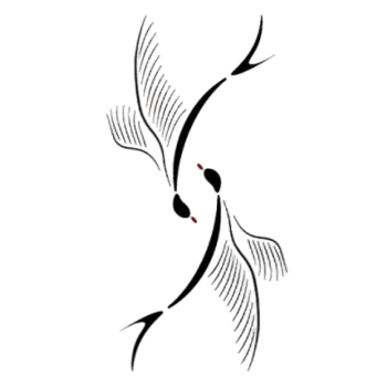 Jining Amy Apparel Co., Ltd. logo