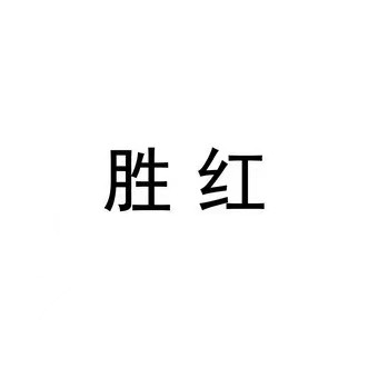 WENZHOU SHENGHONG HARDWARE CO.,LTD. logo