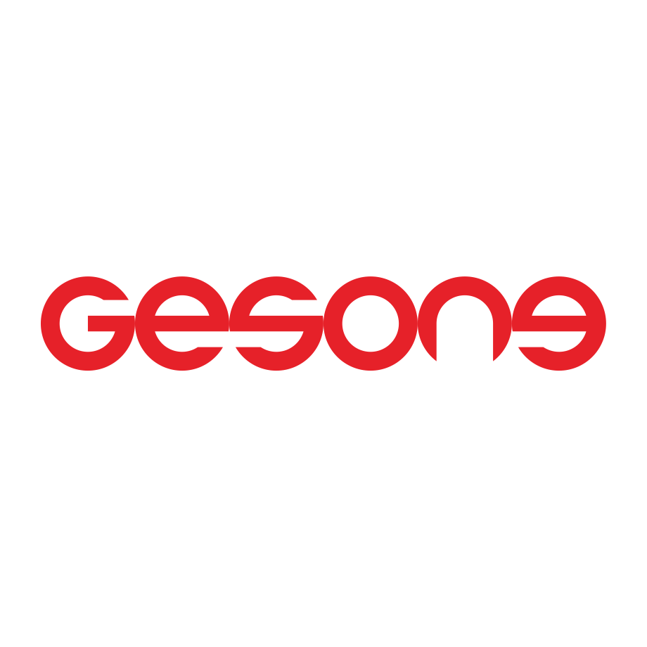 Jiashan Gesong Science and Technology Co.,Ltd logo
