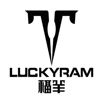 LUCKYRAM TECHNOLOGY CO.,LTD logo