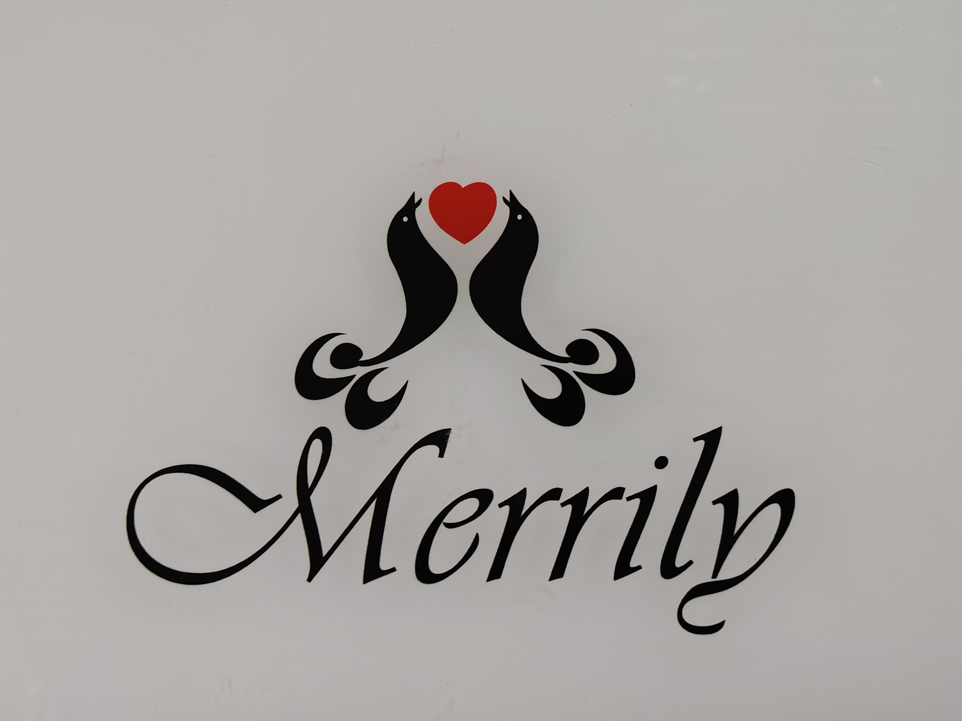 Chengdu Merrily Technology Co., Ltd logo