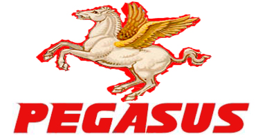 PEGASUS IMPORT & EXPORT CO.,LTD logo