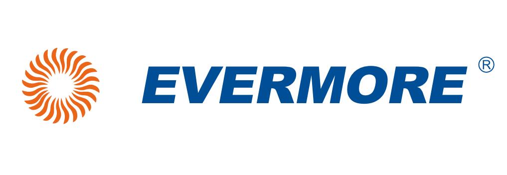 EVERMORE LIGHTING (LU AN) LTD. logo