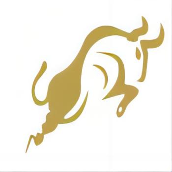 Shaoxing Hengniu Textile Co., LTD logo