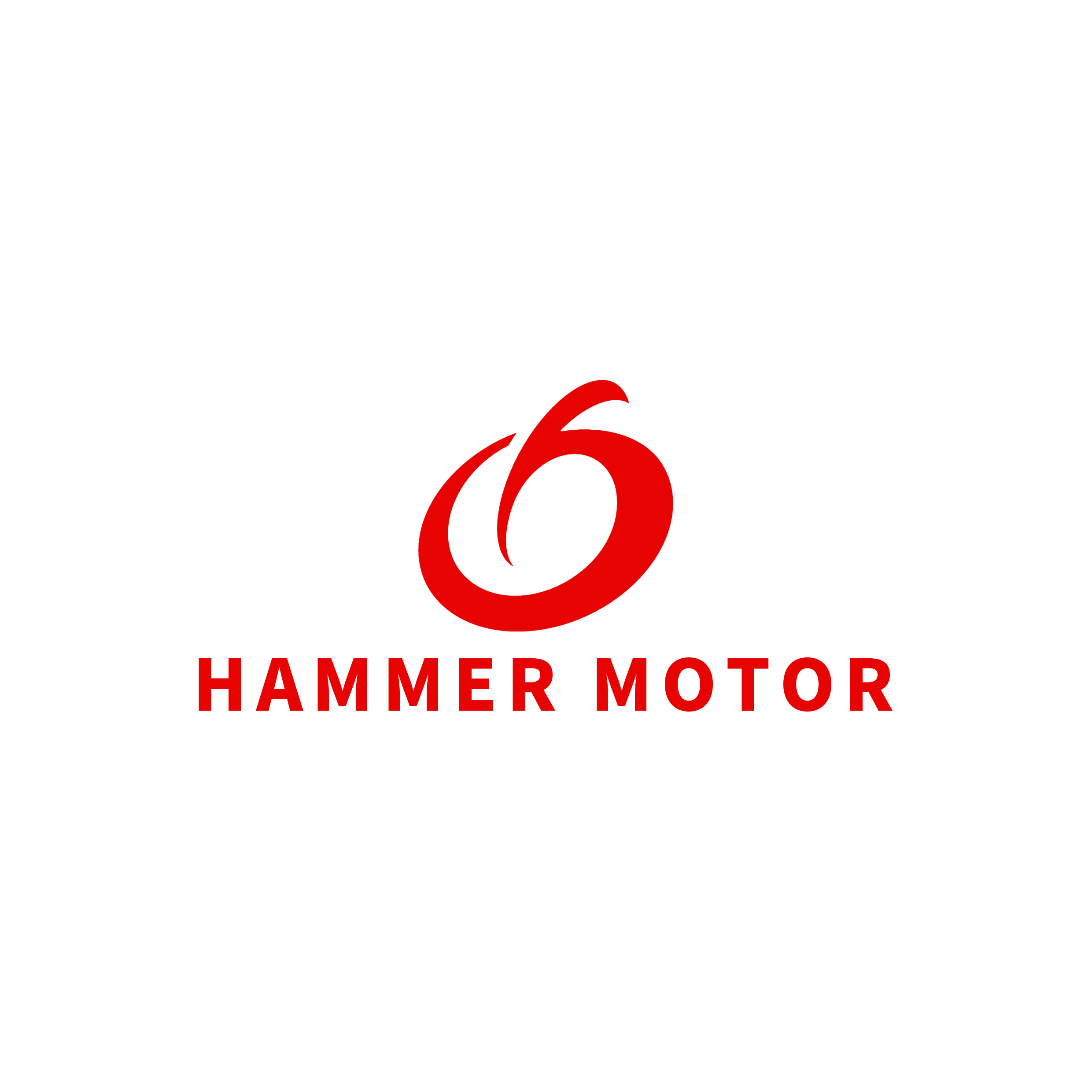 GUANGZHOU HAMMER IMPORT AND EXPORT CO.,LTD logo