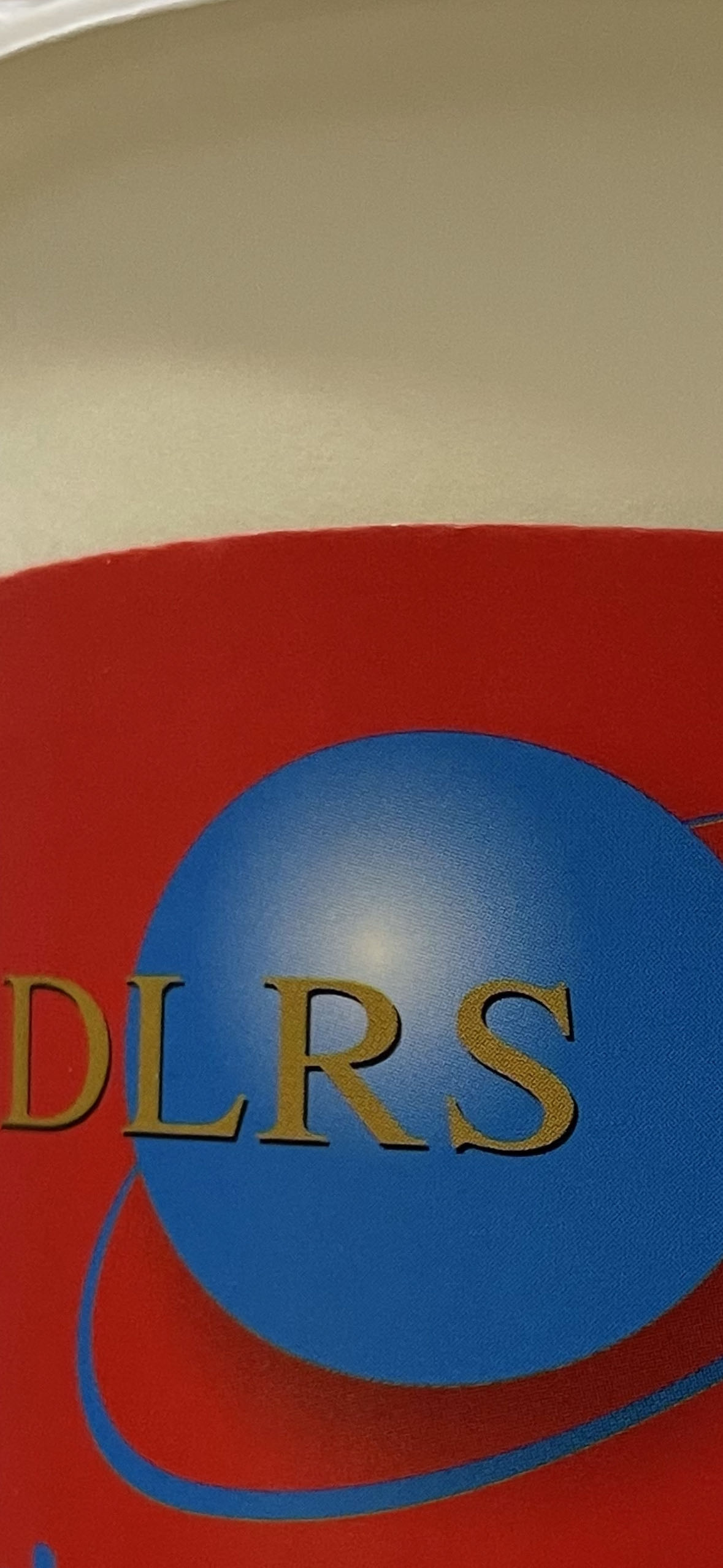 DALIAN RISING INTERNATIONAL TRADING CO., LTD logo
