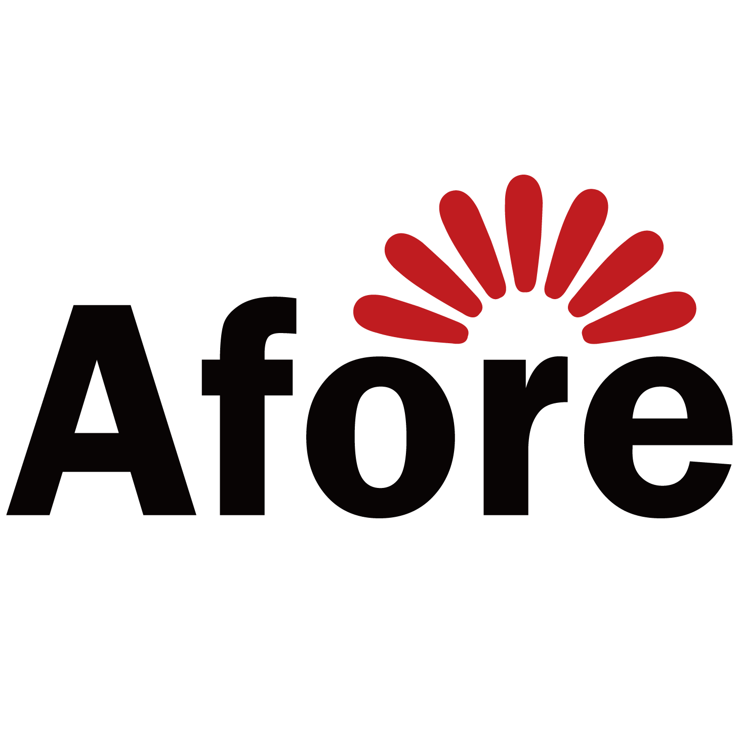 Afore New Energy Technology (Shanghai) Co.,Ltd logo