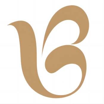 SHAOXING BAIJIE IMP. & EXP. CO.,LTD logo
