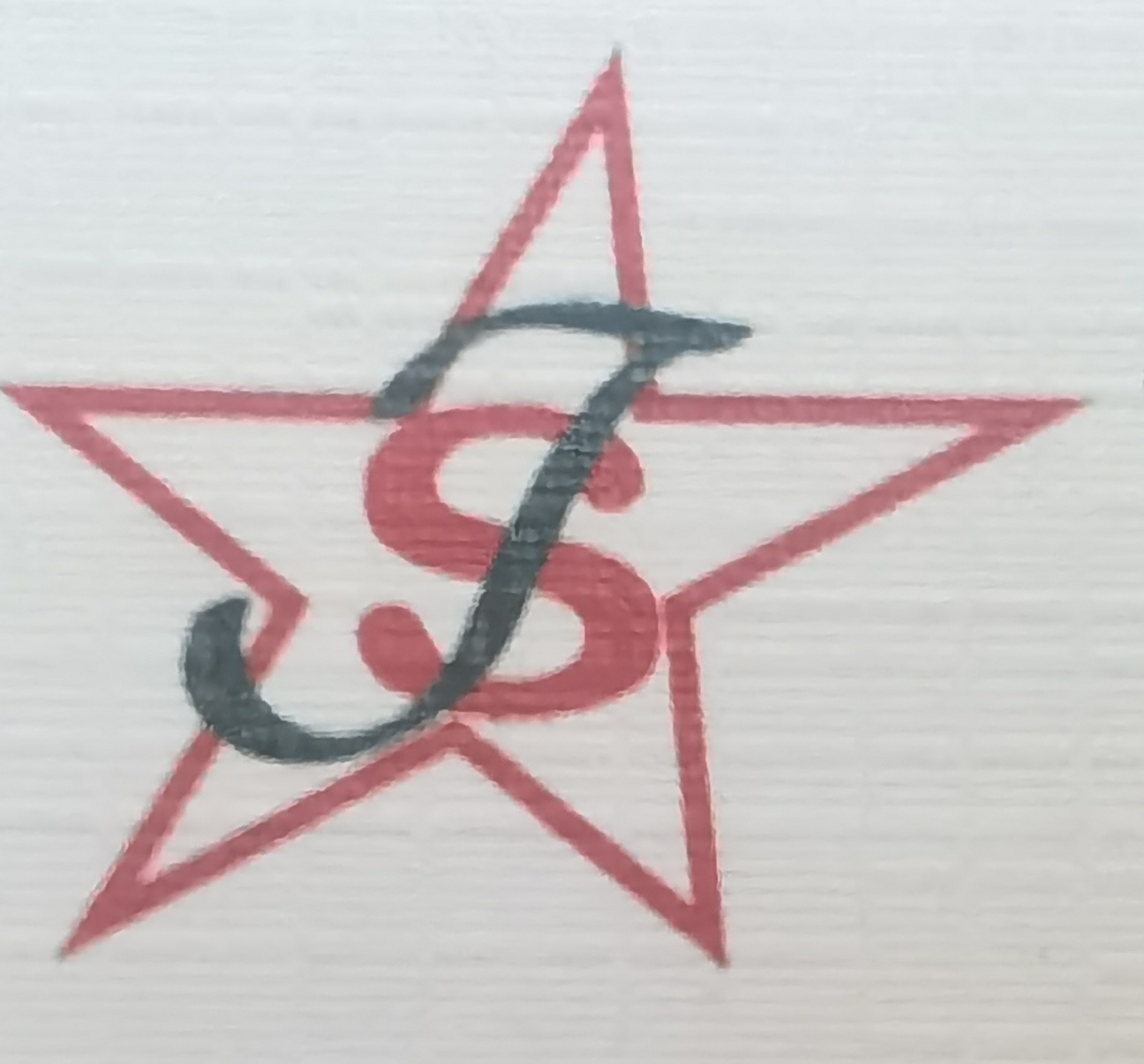 NANJING JASTAR TRADING CO.,LTD. logo