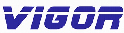 HANGZHOU VIGOR IMPORT & EXPORT CO.,LTD logo