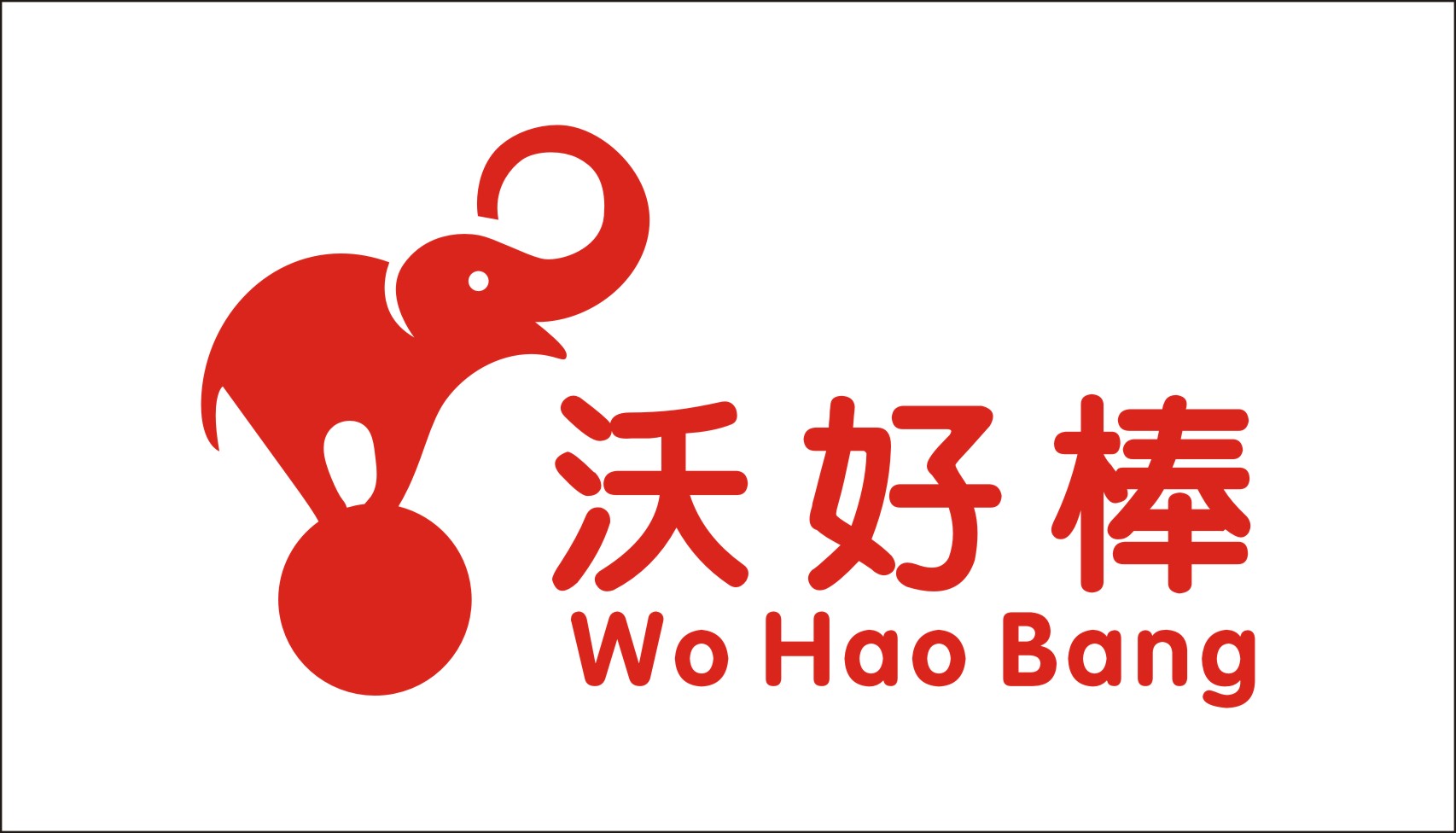 Huizhou Wodong Sports Goods Co.,Ltd logo