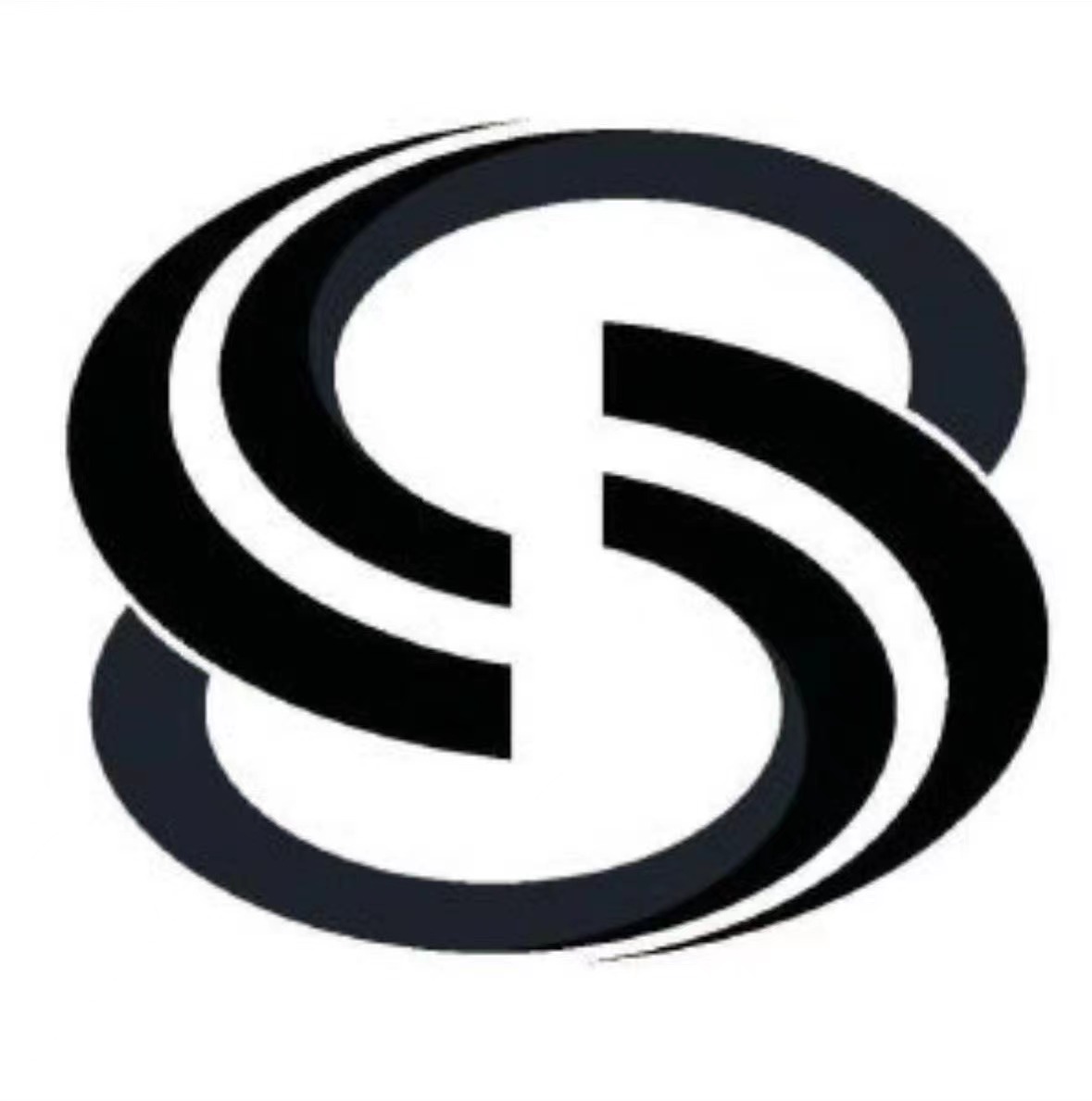 FUJIAN ZESHUN INFORMATION TECHNOLOGY CO LTD logo