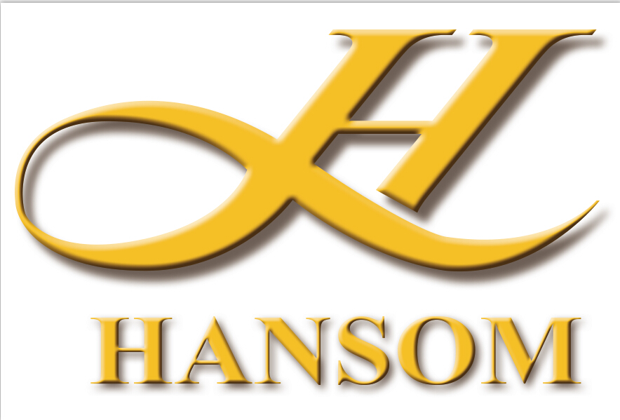 Zhejiang Hansom Import & Export Co.,Ltd logo