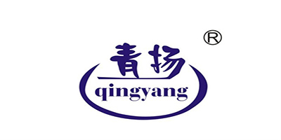 Zhejiang Qingyang Electronic Technology Co.,Ltd logo