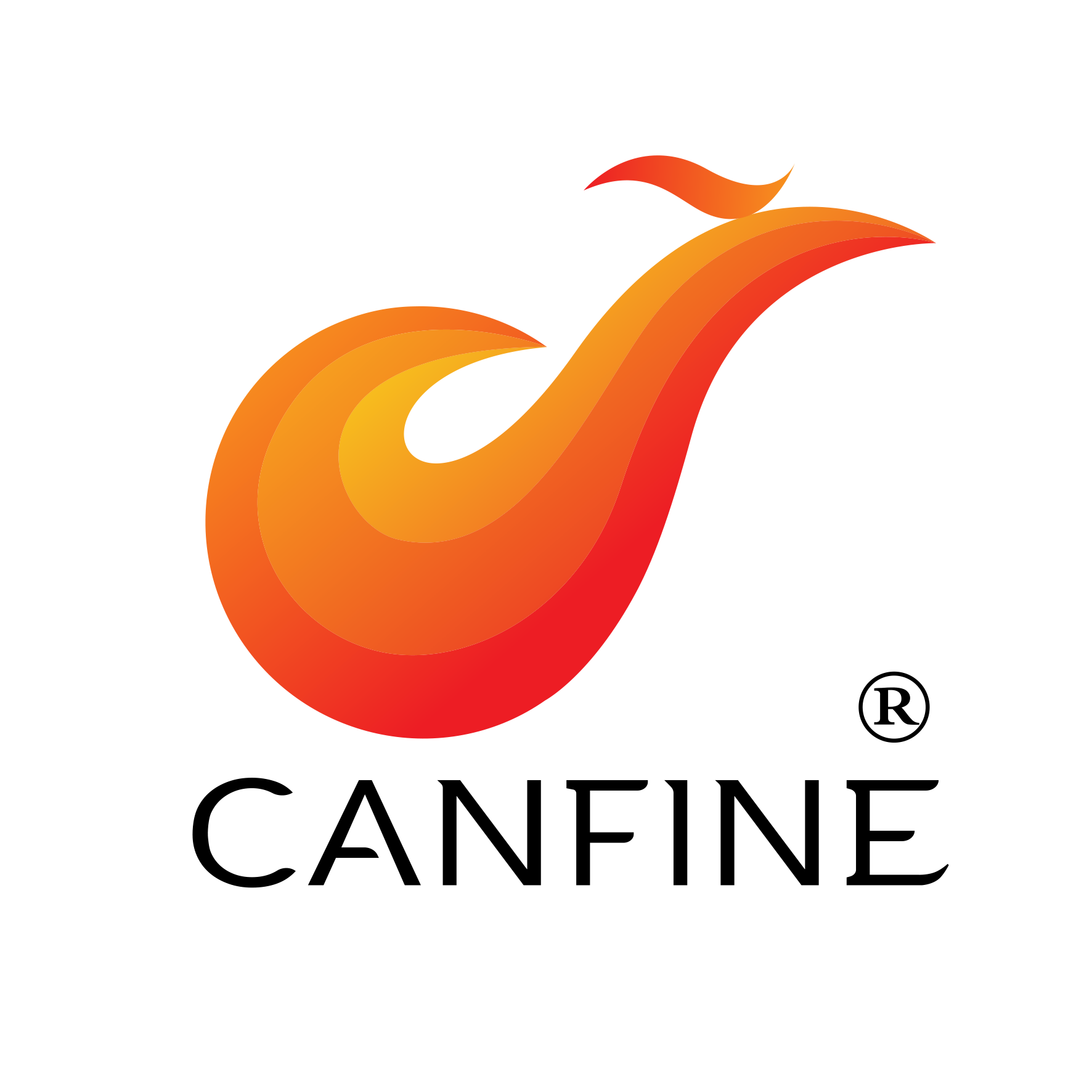 Shenzhen Canfine Technology Co., Ltd logo