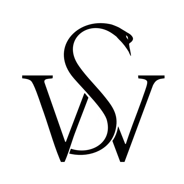 SHAANXI SRONWER COMMERCIAL AND TRADING CO., LTD. logo