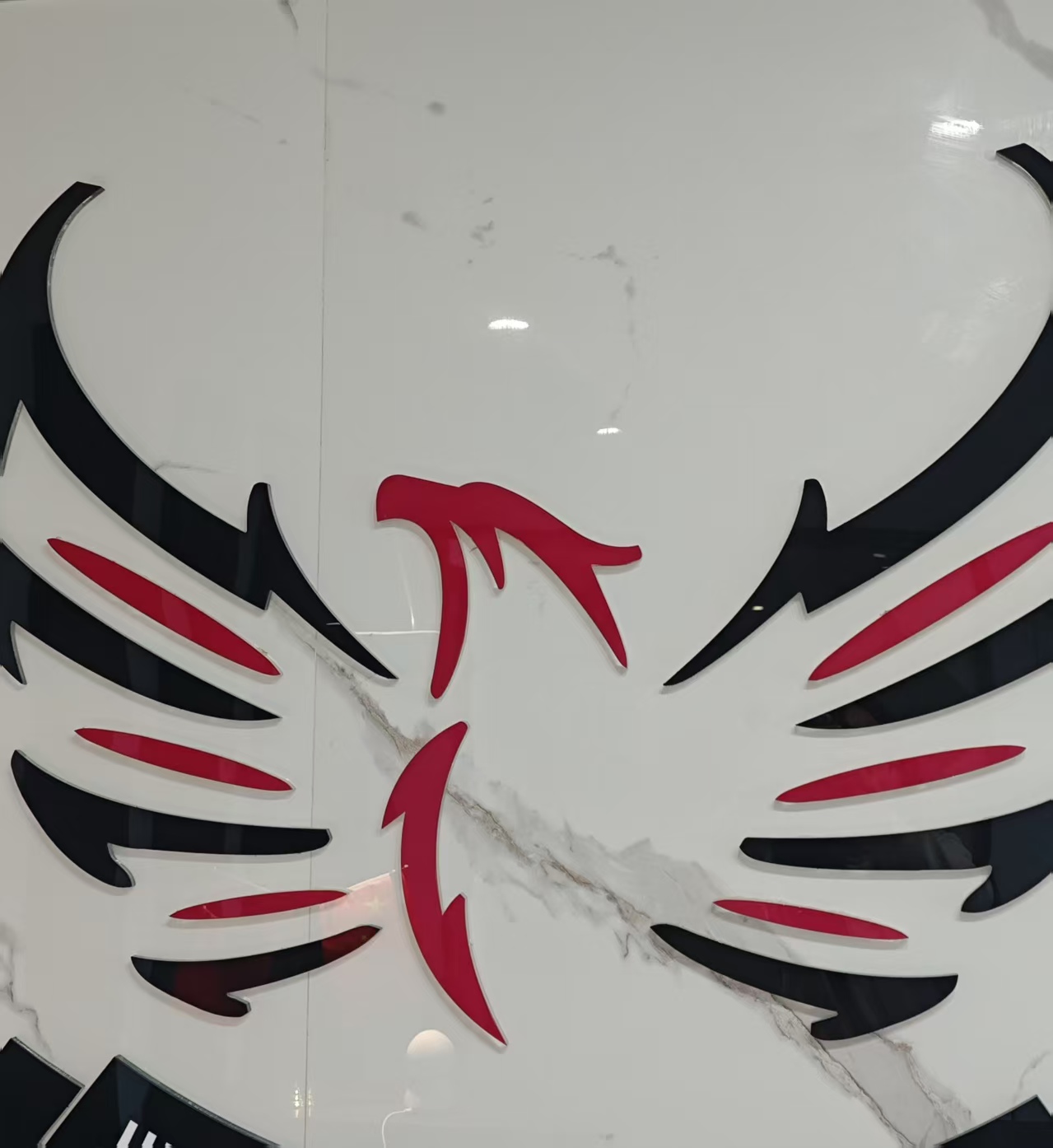 SHIJIAZHUANG DINGRUI TEXTILES PRODUCTS CO.,LTD logo
