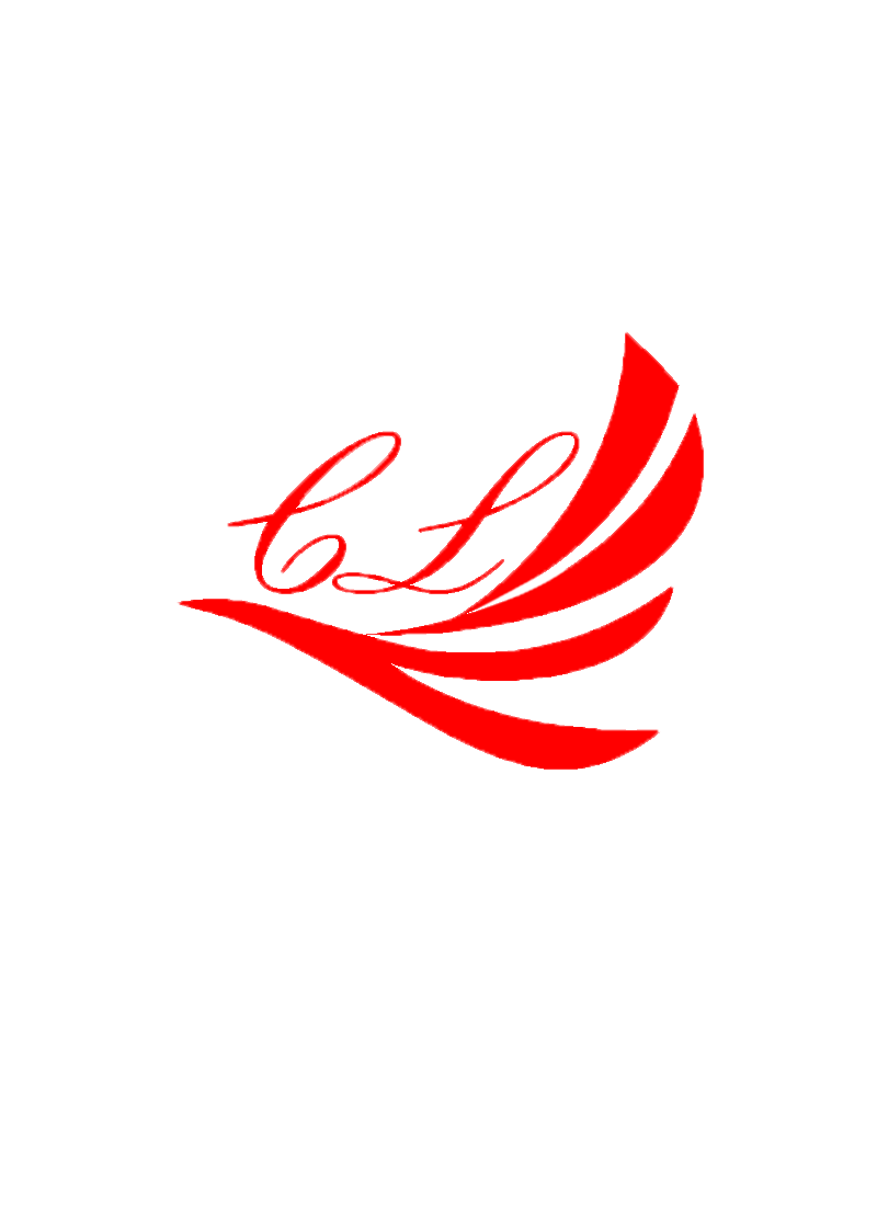 JIANGXI XUNRUI GARMENT CO.,LTD. logo