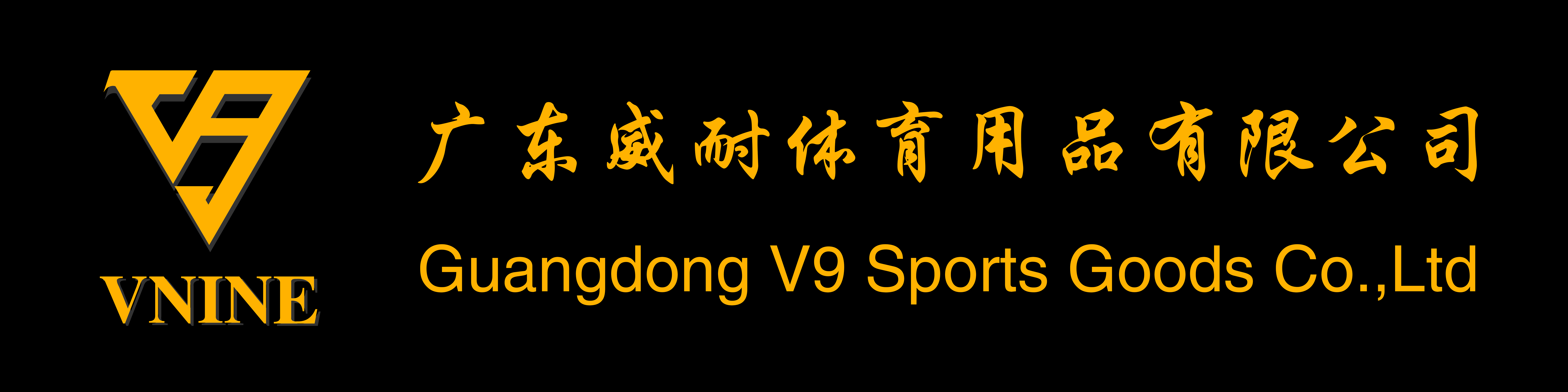GUANGDONG V9 SPORTS GOODS CO.,LTD logo