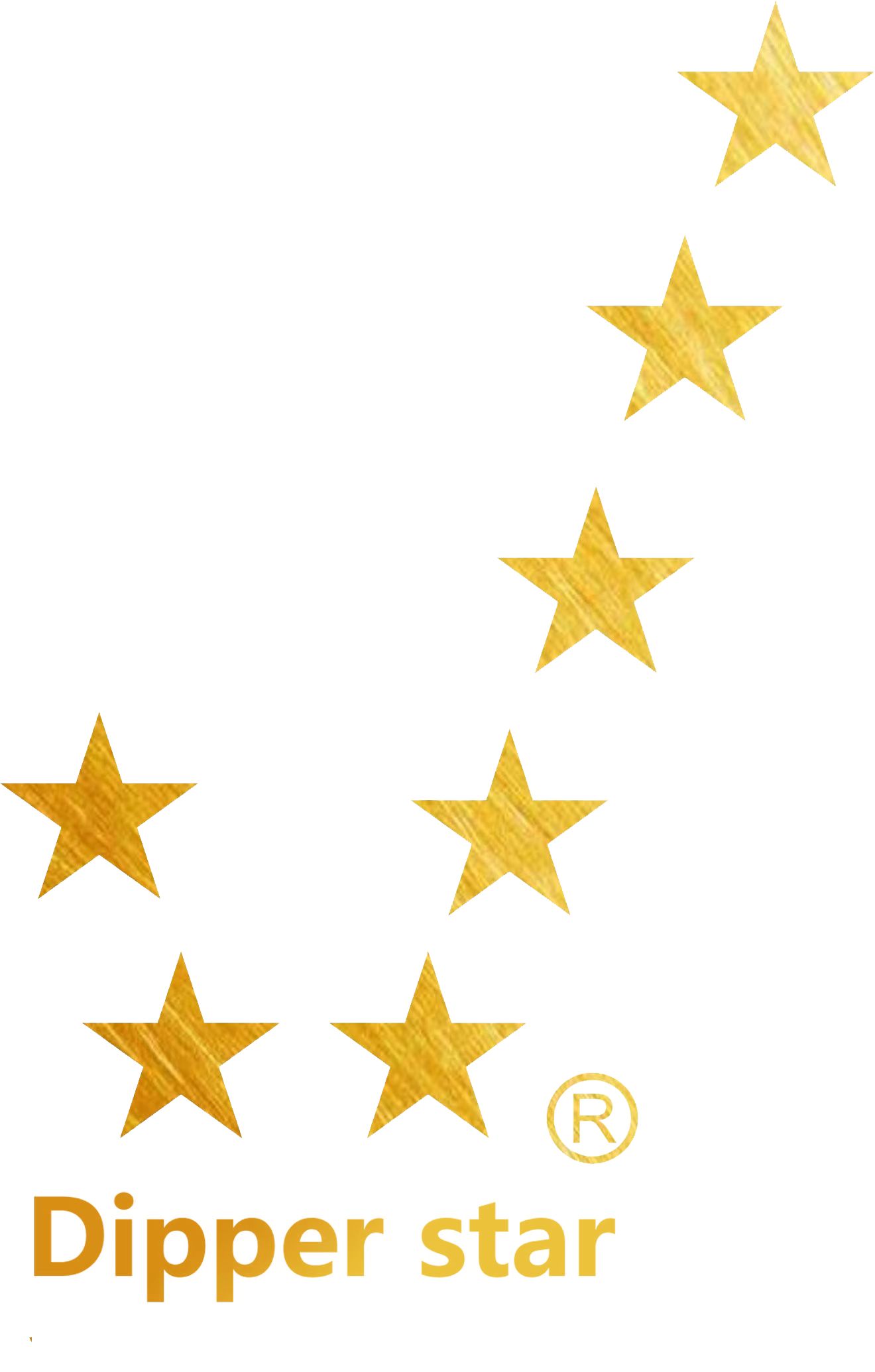Anhui Dipper Star Technology Service Co.,Ltd. logo