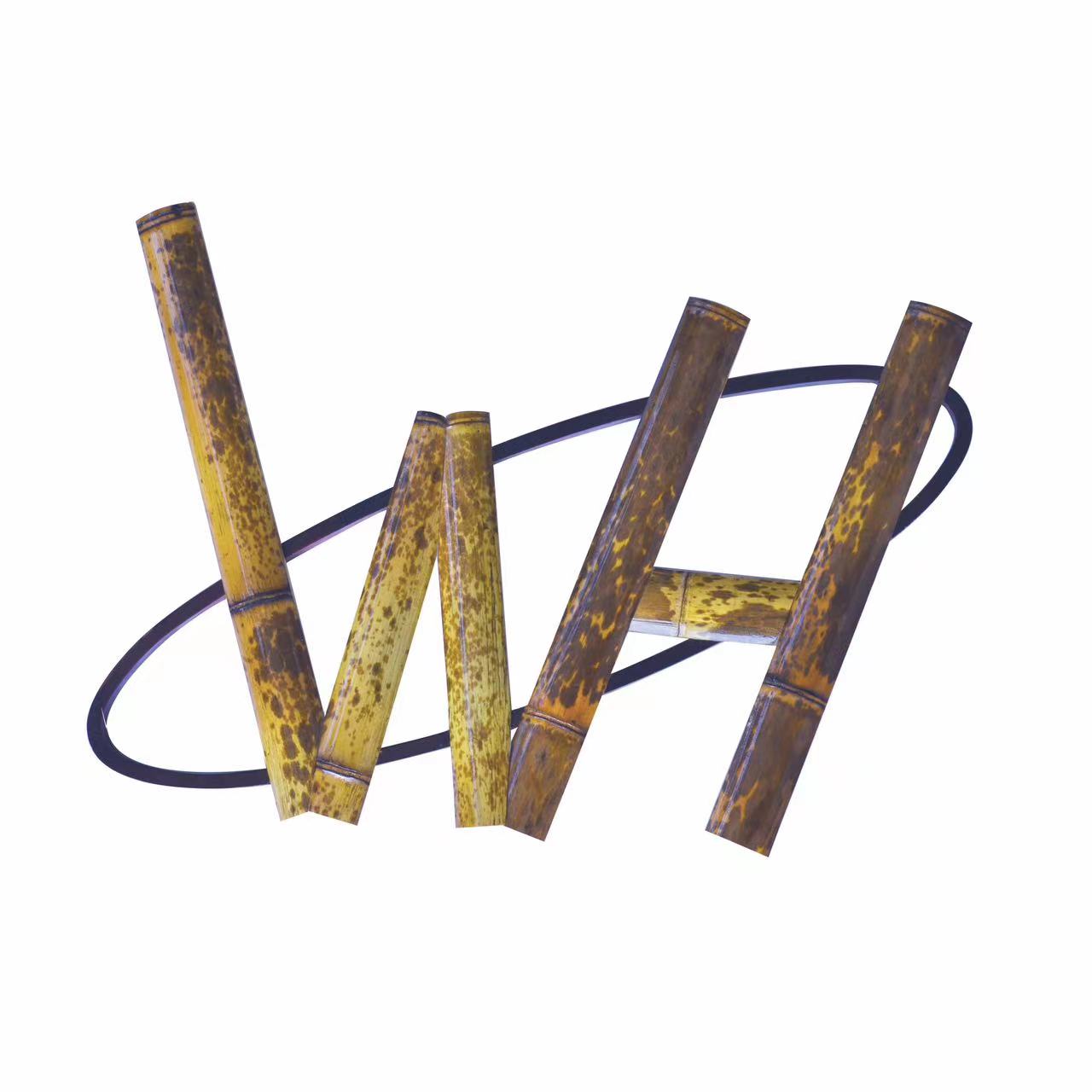 HUZHOU WANHONG ARTS&CRAFTS CO., LTD logo