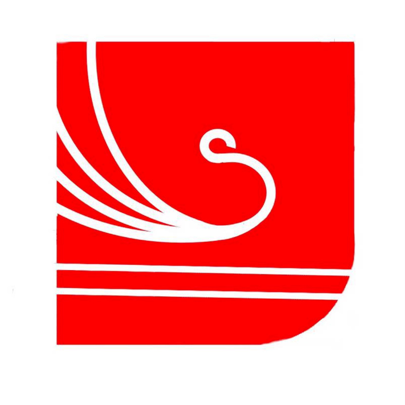 WEIFANG DASHINE SHOES CO. LTD logo