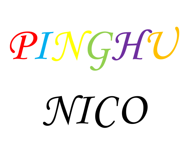 PINGHU NIKE IMP. & EXP. CO., LTD logo