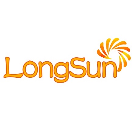 HANGZHOU LONGSUN TECHNOLOGY CO., LTD logo