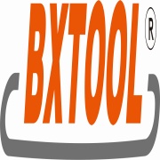 Benxi Lion Technology Import and Export Co., Ltd logo