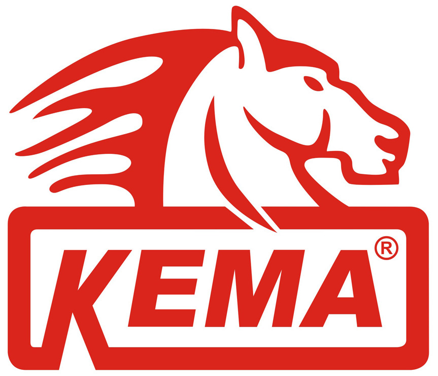 KEMA INTERNATIONAL LIMITED logo