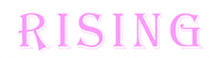 QINGDAO RISING INTERNATIONAL TRADING CO.,LTD logo