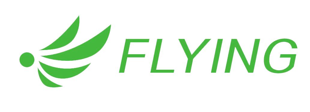 Shanghai Flying Food Technology Co. , Ltd. logo