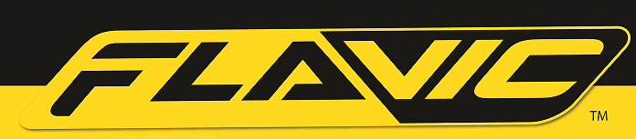 Hangzhou Flavic Technology Co.,Ltd logo