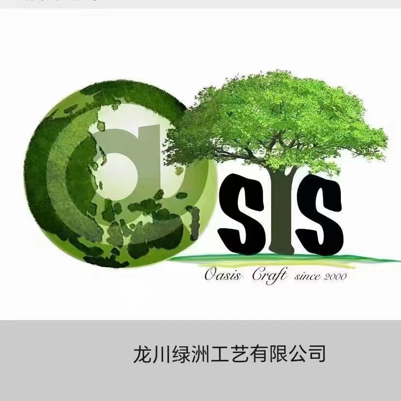 LONGCHUAN OASIS TECHNOLOGY CO. , LTD logo