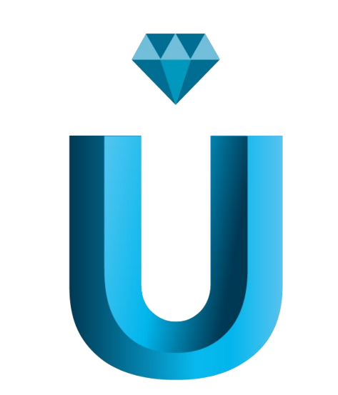 ZHEJIANG IU IMP&EXP CO.LTD logo