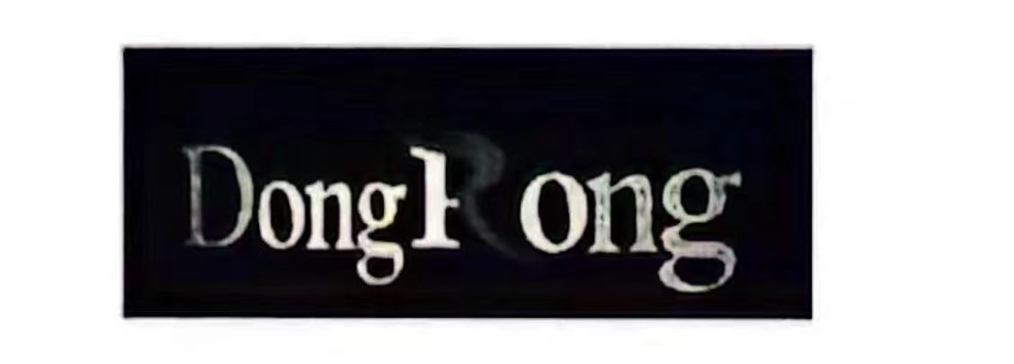 Shantou Dongrong Import And Export Trade Co.,Ltd logo