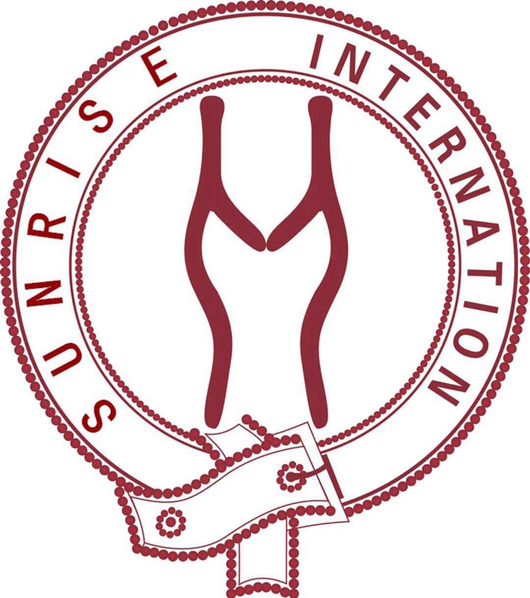 JIANGSU SUNRISE INTERNATIONAL CO.,LTD logo