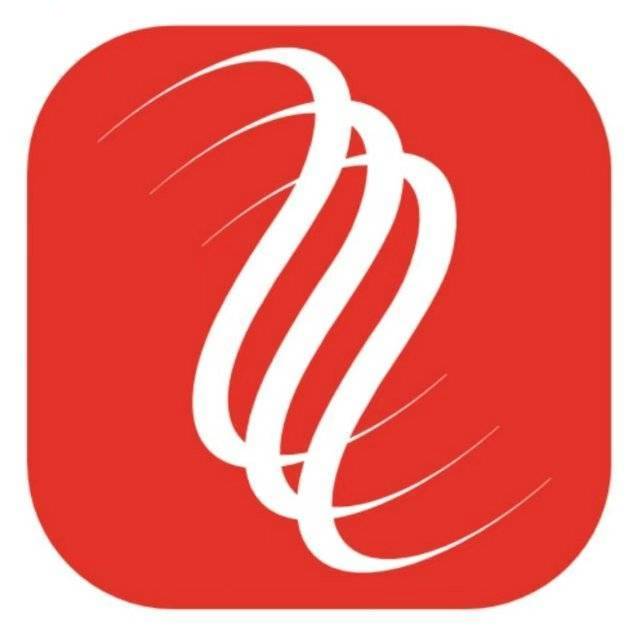 HENAN SAIDA GLASS CO., LTD logo