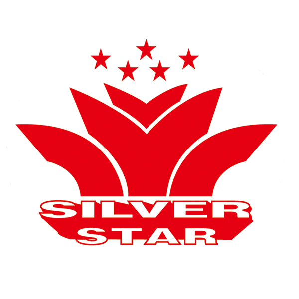 YANGJIANG SILVER STAR TRADING COMPANY LTD. logo