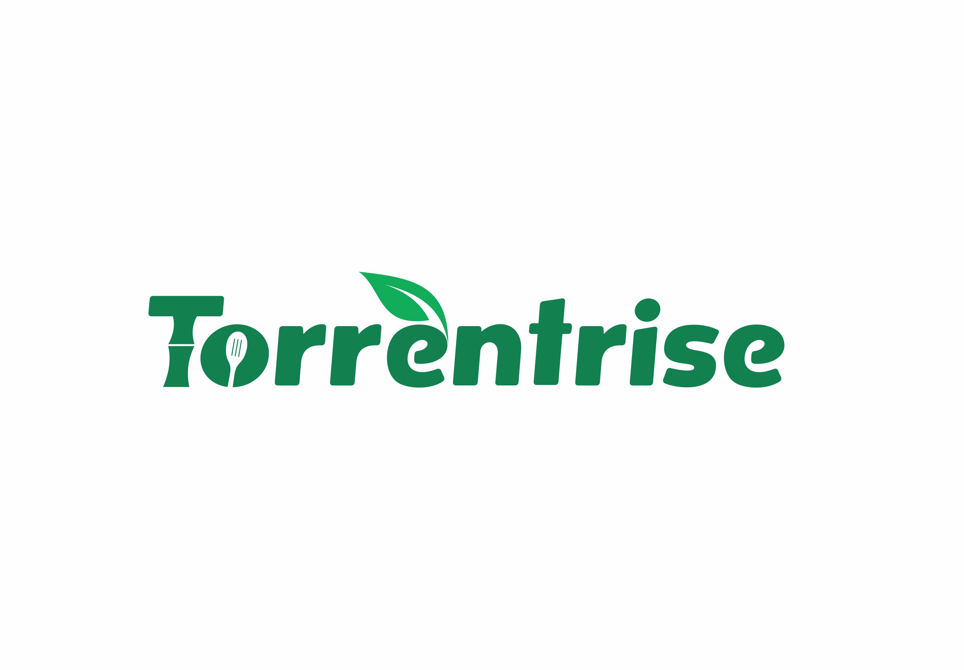 Torrentrise (Fujian) Industries Co.,Ltd logo